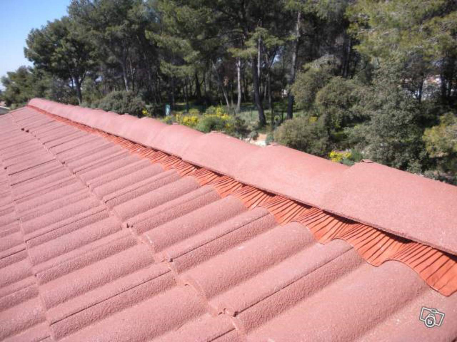 Prix pour le démoussage de toiture et tuile à Aix-en-Provence 13100