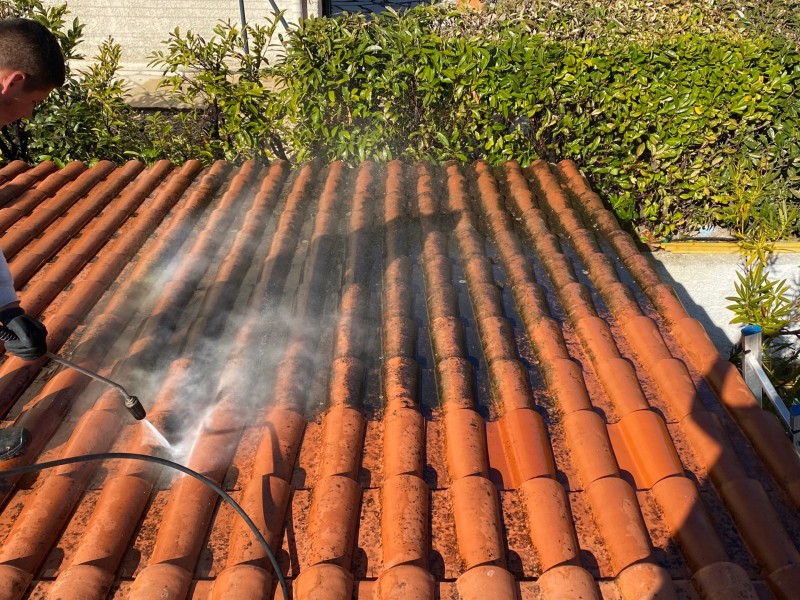 nettoyage toiture sur velaux