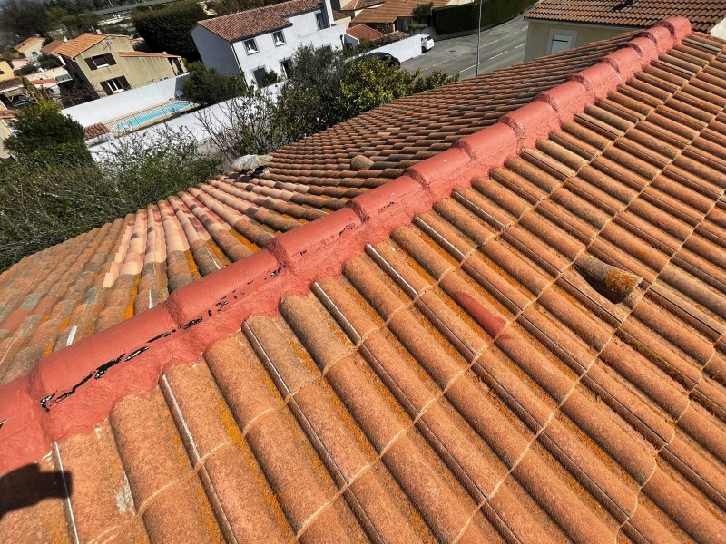 Faitage avant intervention