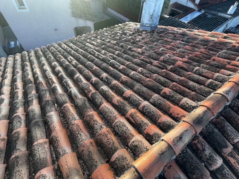 Intervention de couvreur pour un nettoyage de tuiles d'une toiture de maison sur Châteauneuf-les-Martigues 13220 près de Marignane