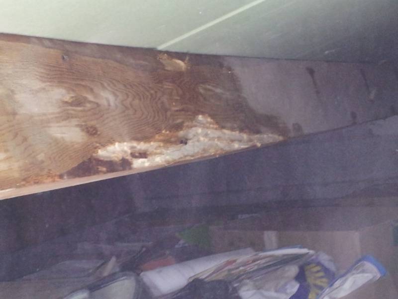 traitement de charpente sur salon de provence