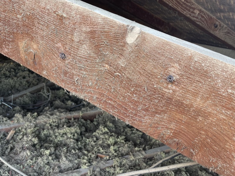 Traitement de charpente traditionnelle lors d'un changement de toiture de maison sur Châteauneuf-les-Martigues 13220