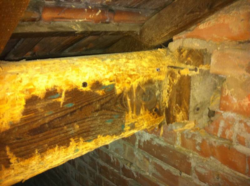 traitement charpente traditionnelle sur aix en provence