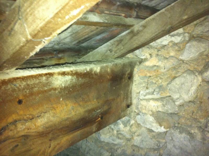 pose injecteur pour traitement de charpente sur marignane