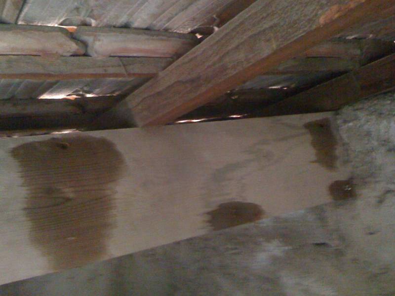 traitement charpente près de Marignane