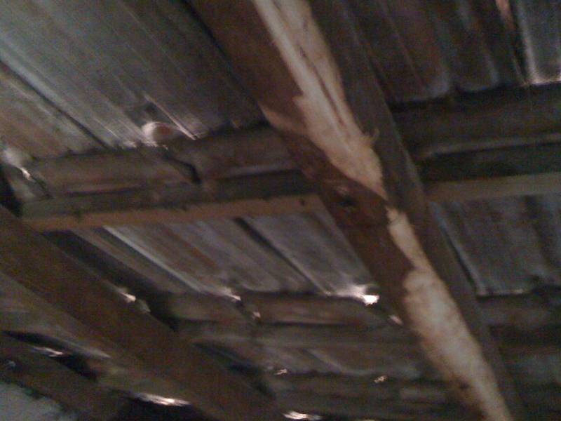 chevron à marignane