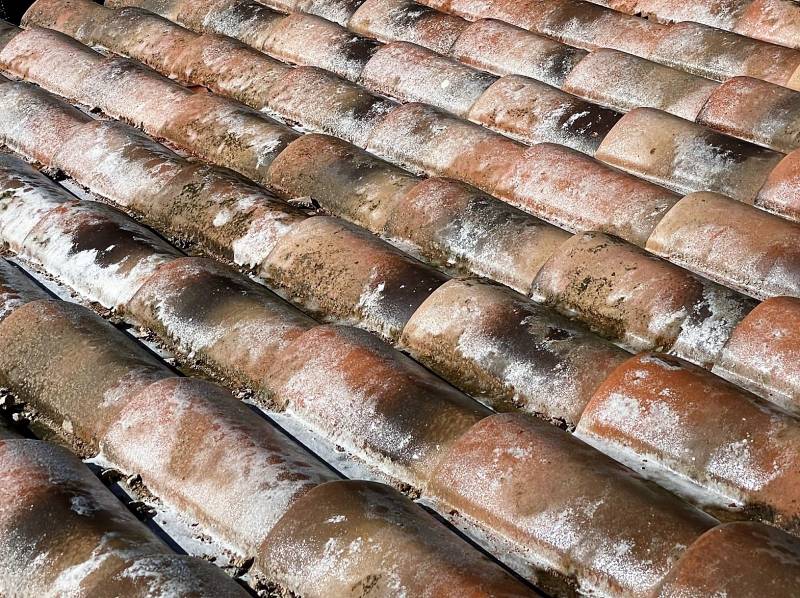 passage anti-mousse sur tuiles abeilles mecanique sur vitrolless