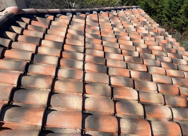 Tuiles Abeille avec nettoyage sur vitrolles