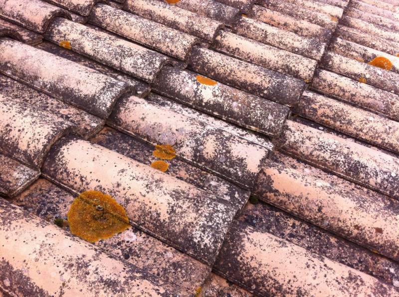 tuile avant intervention à Salon de Provence 13300