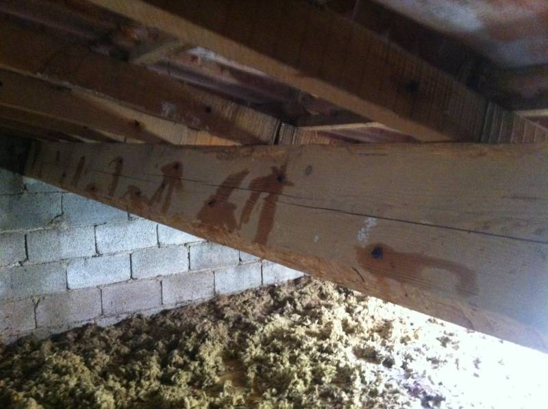 traitement des bois sur Salon de Provence