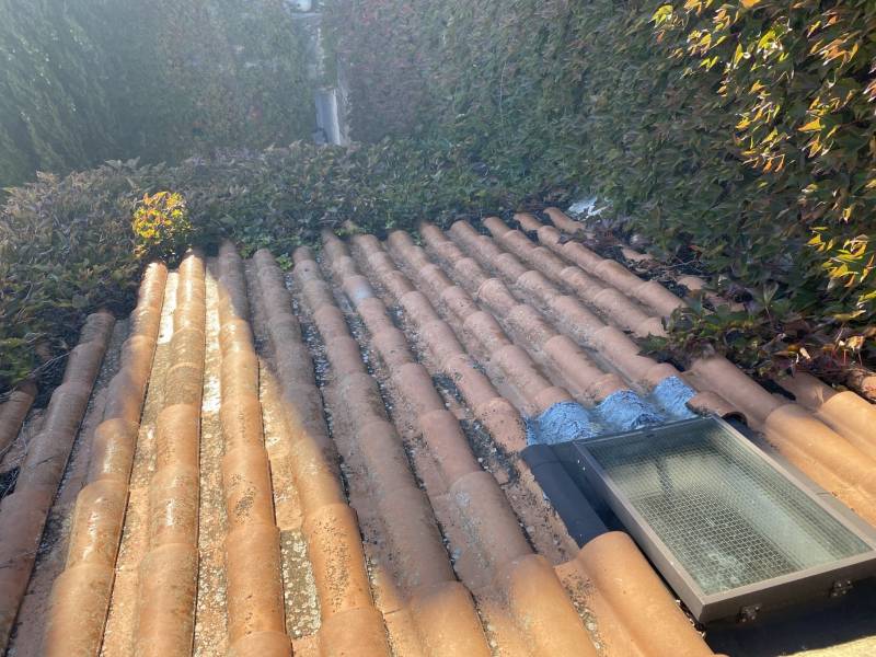 toiture avec plante avant intervention salon de provence