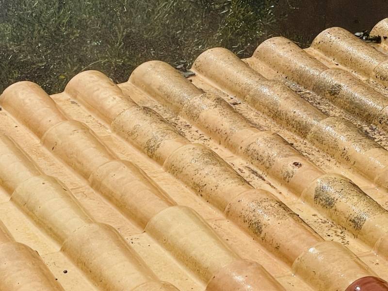 démoussage tuile sur gignac la nerthe 13180