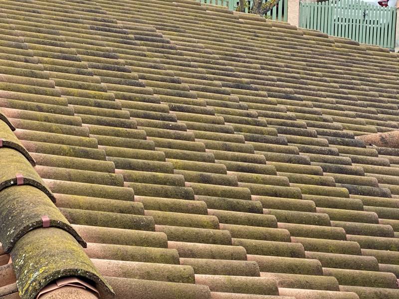 mousse sur tuiles mecanique beton sur bouc bel air 13320