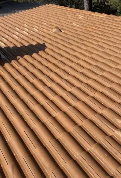 démoussage tuile béton redland près de Vitrolles 13127