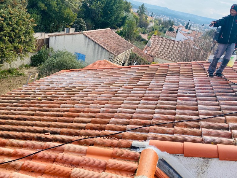 application produit sur toiture velaux