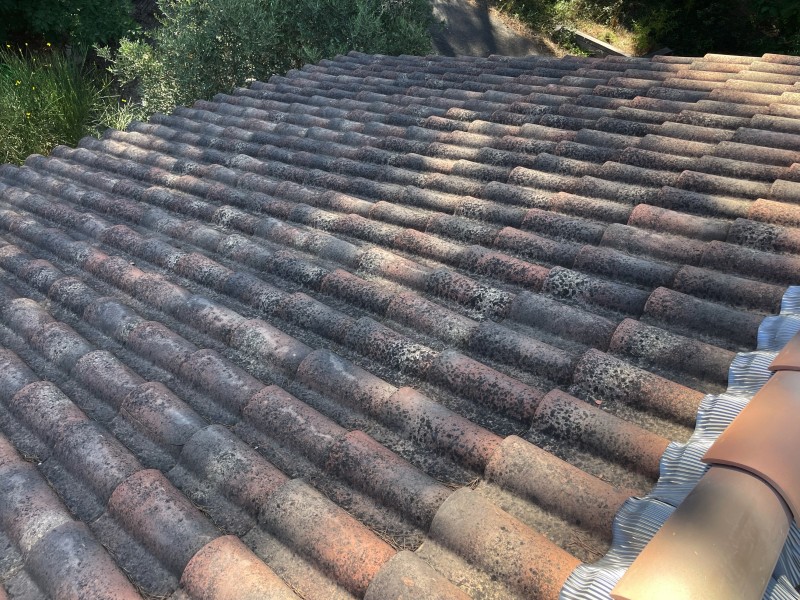 démoussage de tuiles Bouc-Bel-Air 13320