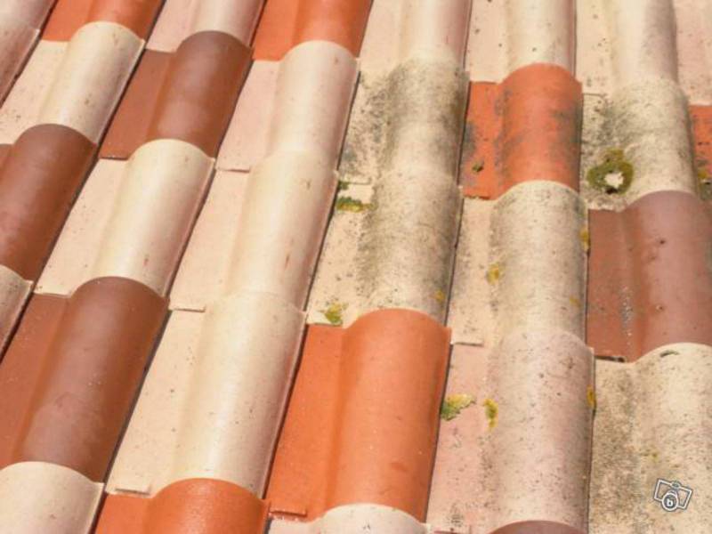 demoussage toiture marignane