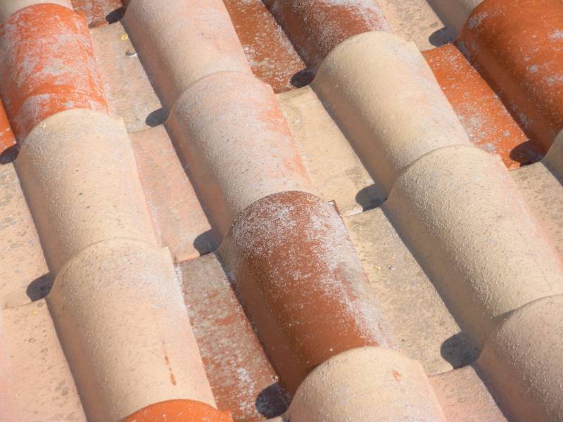 passage anti-mousse sur tuile romane près de Marignane à Martigues 13500